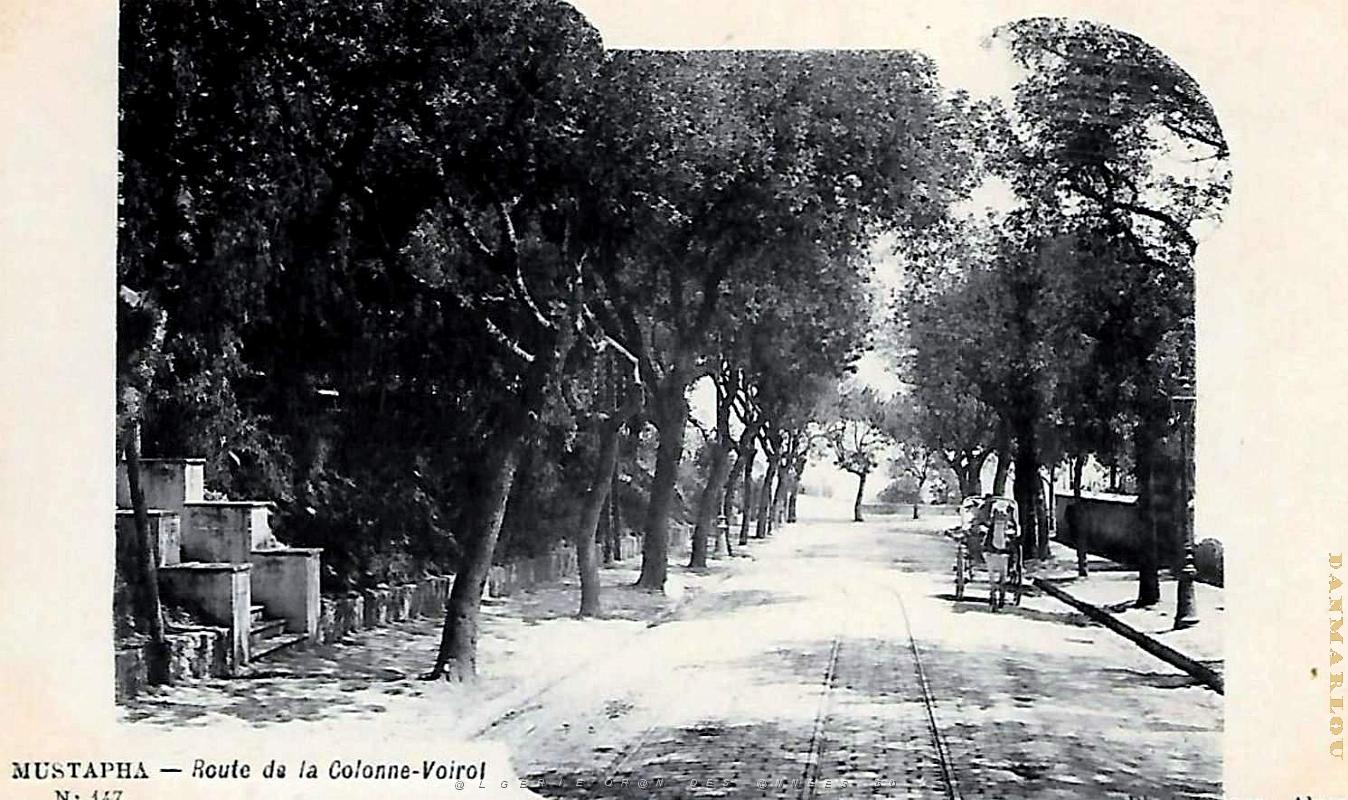 Alger-Mustapha - Route de la Colonne-Voirol.jpg